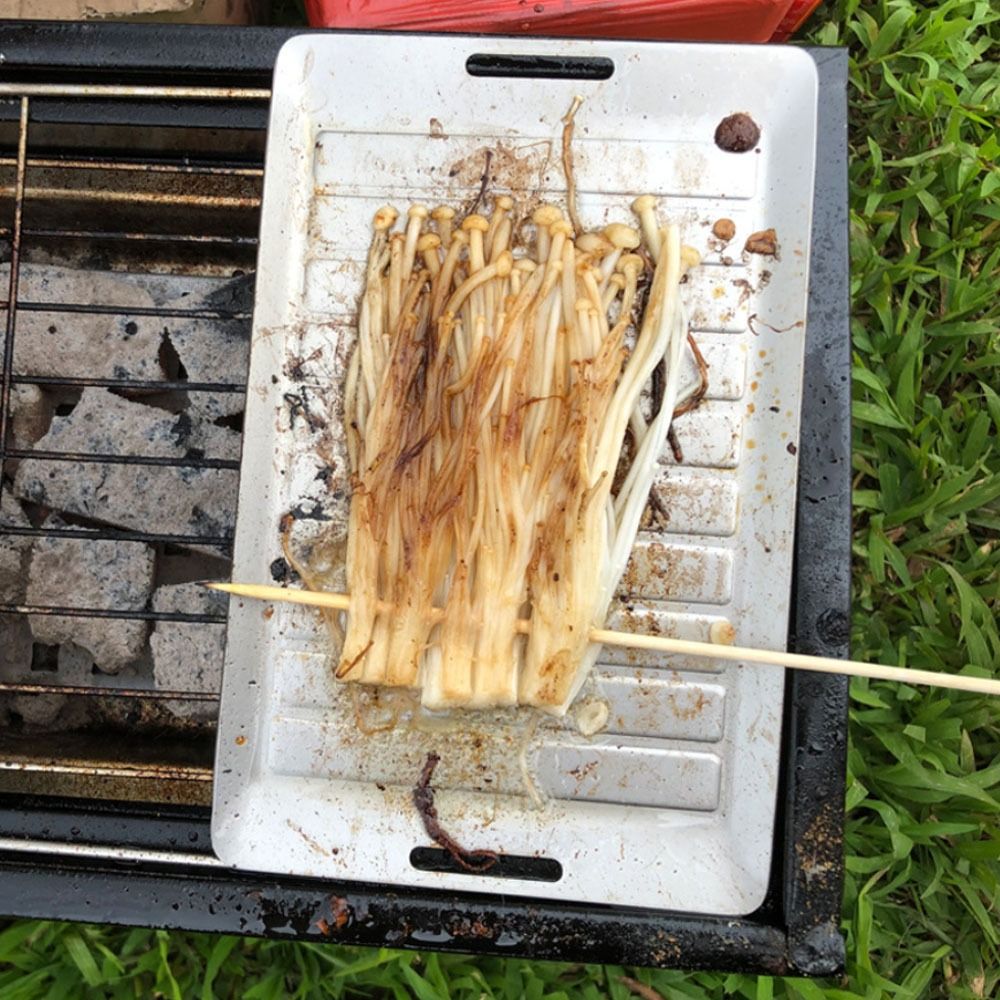 Durable Titanium Camping Grill - Camping Cooking Pan のレビューと価格