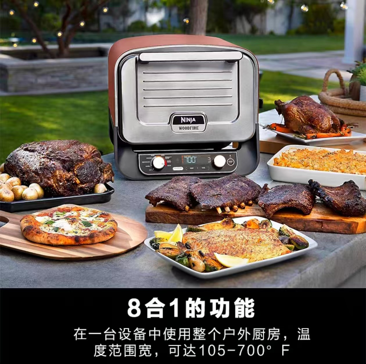 2026 Outdoor Pizza Oven for El - Camping Cooking Area のレビューと価格